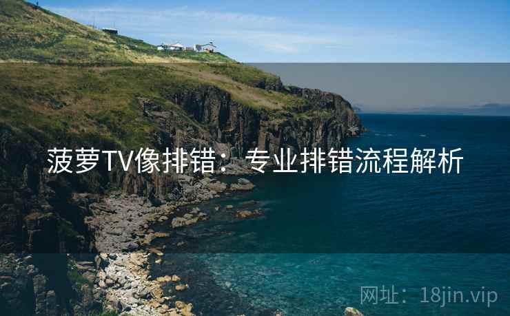 菠萝TV像排错：专业排错流程解析