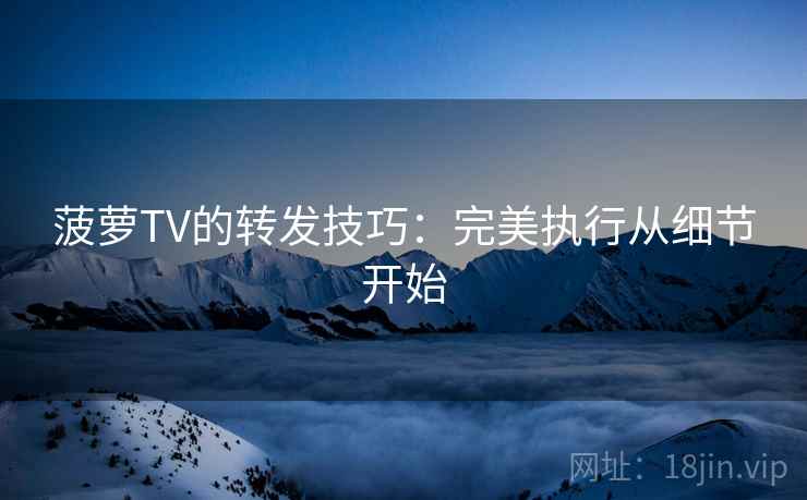 菠萝TV的转发技巧：完美执行从细节开始  第1张