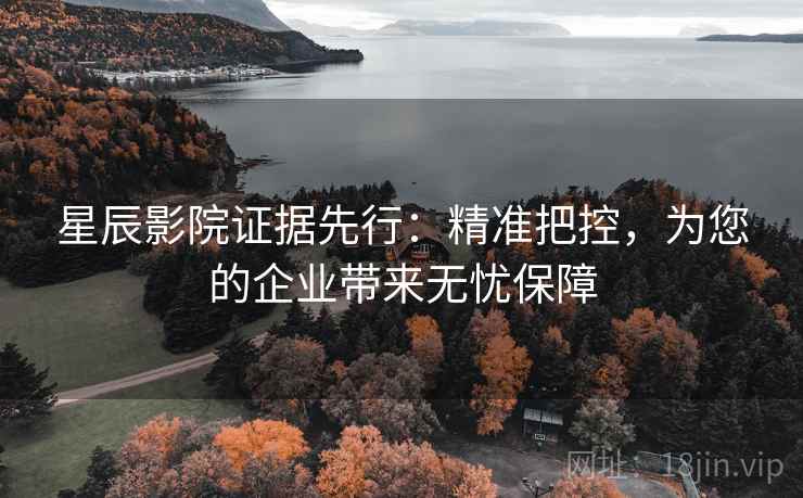 星辰影院证据先行：精准把控，为您的企业带来无忧保障