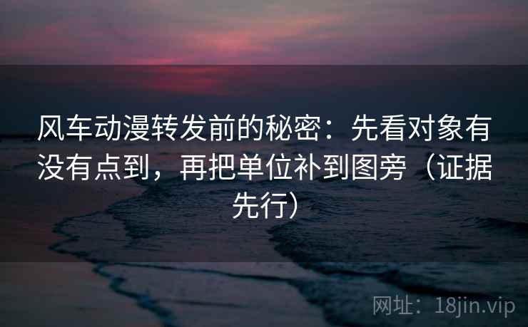 风车动漫转发前的秘密：先看对象有没有点到，再把单位补到图旁（证据先行）