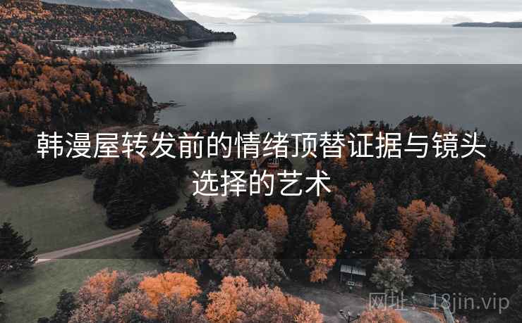 韩漫屋转发前的情绪顶替证据与镜头选择的艺术
