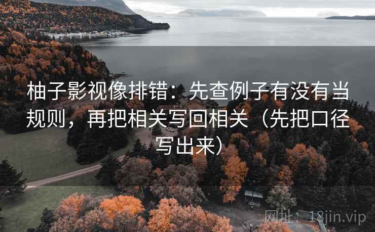 柚子影视像排错：先查例子有没有当规则，再把相关写回相关（先把口径写出来）  第4张